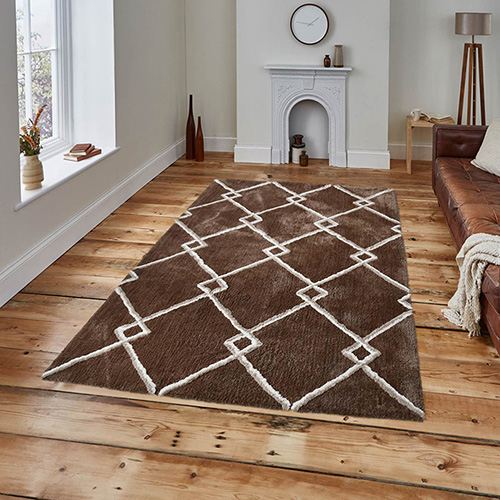 Patterned Rug Design